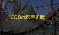 COD战区手机版